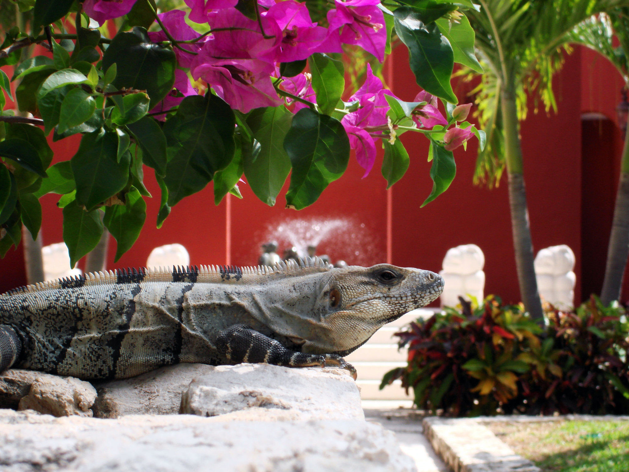 Paraiso De La Bonita Adult All-Inclusive, A Luxury Collection Resort Puerto Morelos Facilități foto